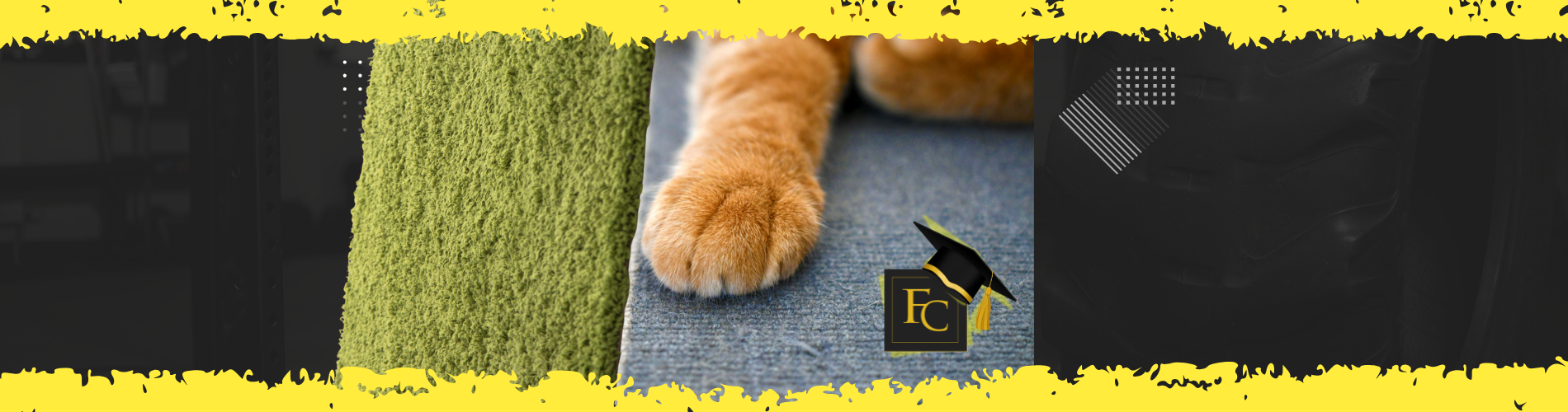 Nylon vs. polyester carpet comparison by Floor Concepts in Wilmington, DE